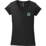 Biggby Barbarians Softstyle Ladies Fit V-Neck T-Shirt