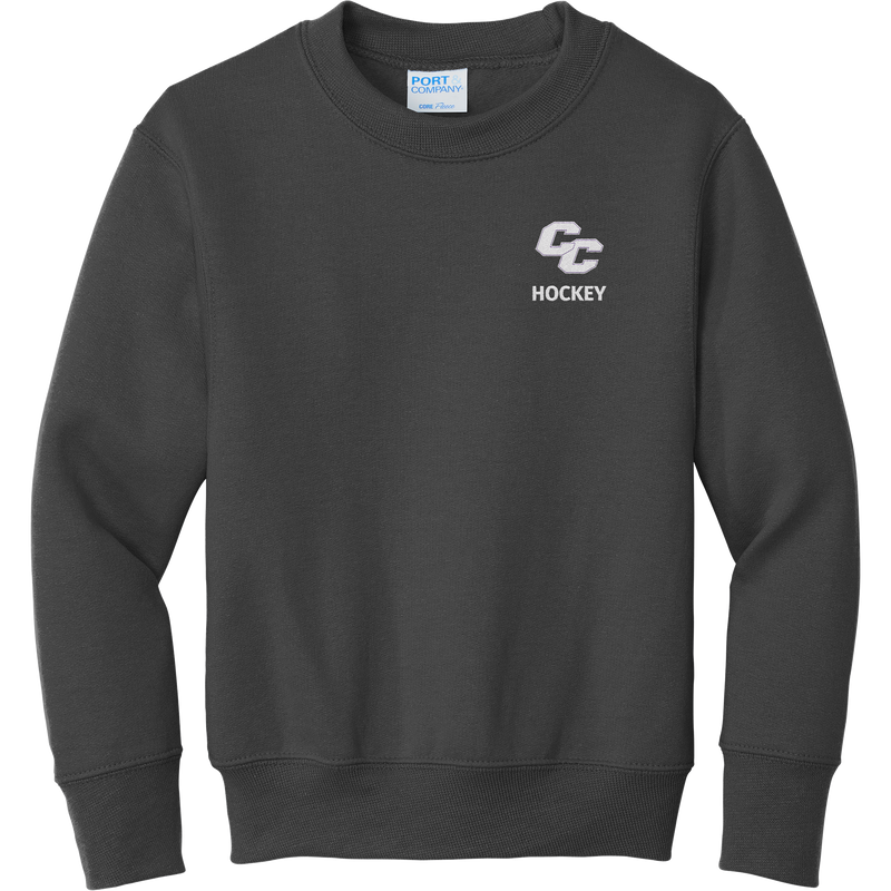 Curry College Youth Core Fleece Crewneck Sweatshirt