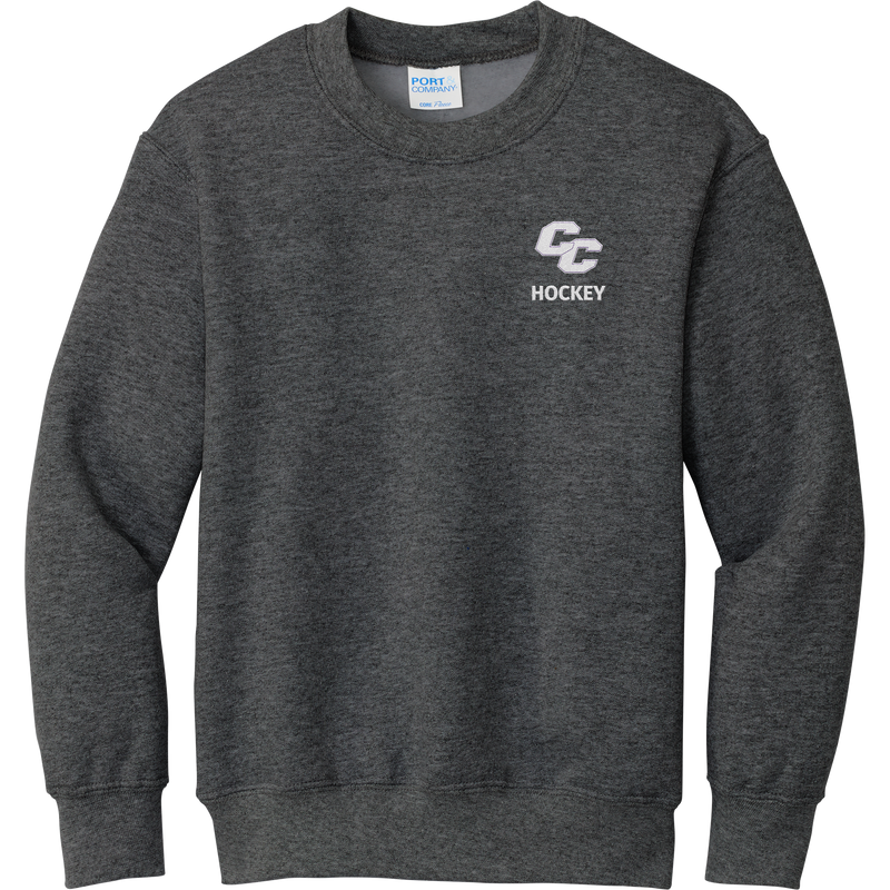 Curry College Youth Core Fleece Crewneck Sweatshirt