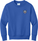 CT Bobcats Youth Core Fleece Crewneck Sweatshirt